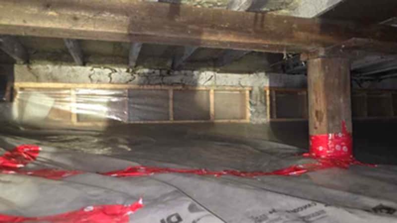 Comprehensive Rodent Control, Pest-Proofing and Insulation Replacement in Kitsilano, Vancouver